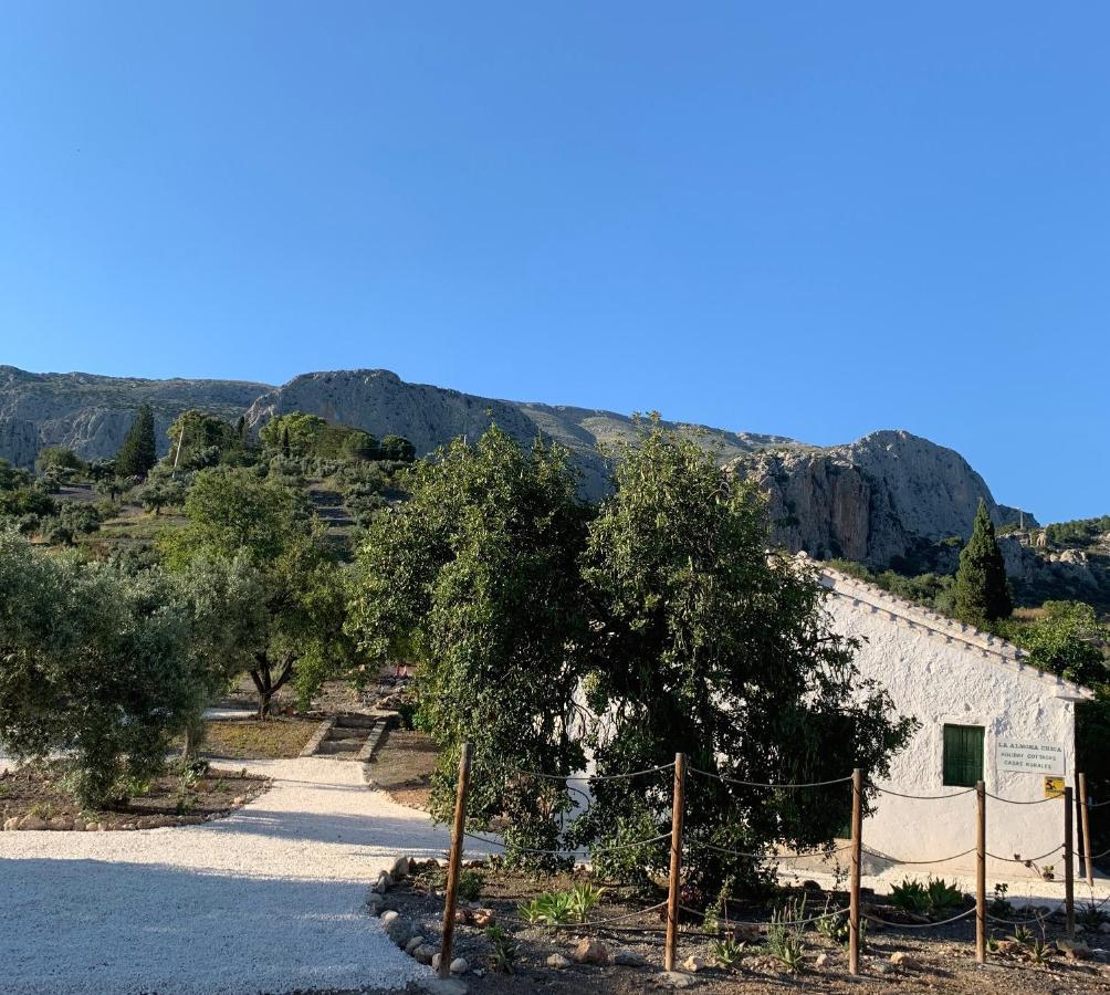 Pensjonat Casa Anita - La Almona Chica El Chorro Zewnętrze zdjęcie