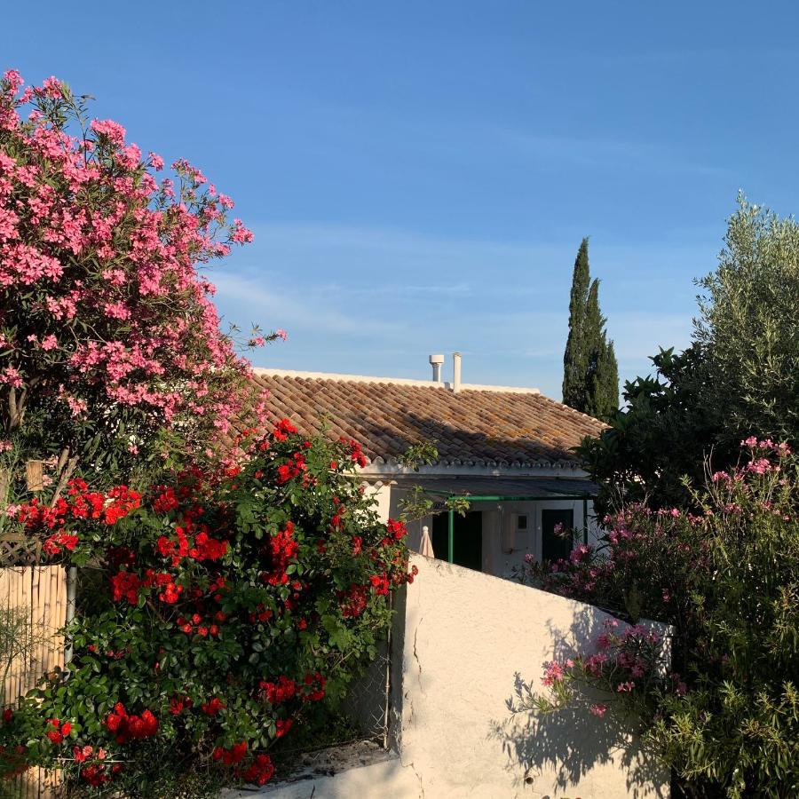 Pensjonat Casa Anita - La Almona Chica El Chorro Zewnętrze zdjęcie