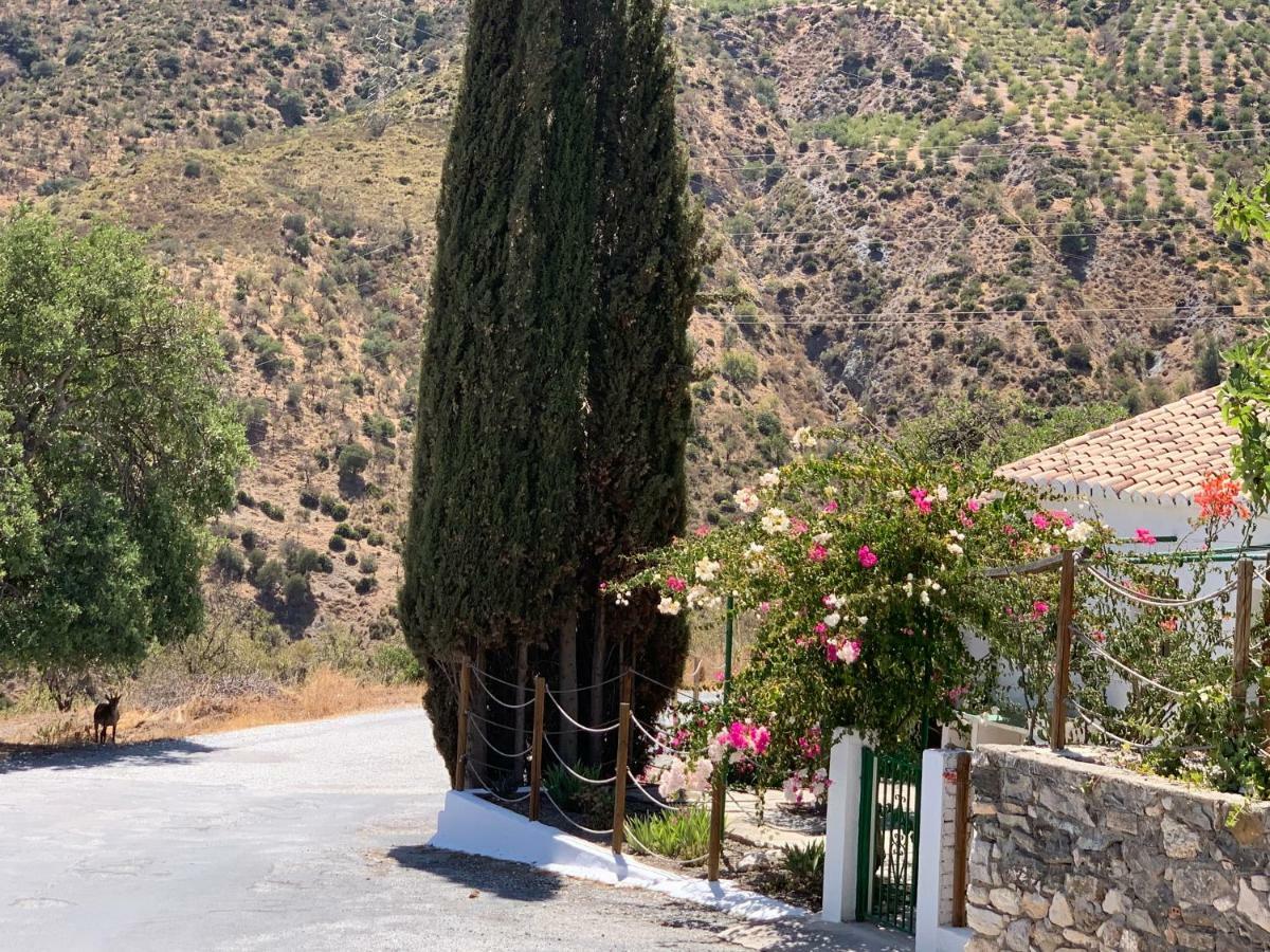 Pensjonat Casa Anita - La Almona Chica El Chorro Zewnętrze zdjęcie